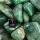 Chalcedon gr&uuml;n Trommelstein ca. 25-40mm VE500g