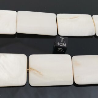 Muschel wei&szlig; Strang Modell 02 ca. 37-40cm