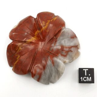 Achat Bl&uuml;te ca. 5cm